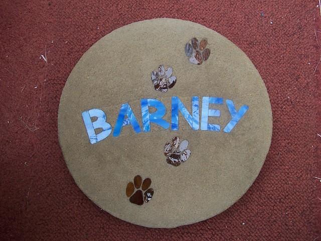 Barney PP