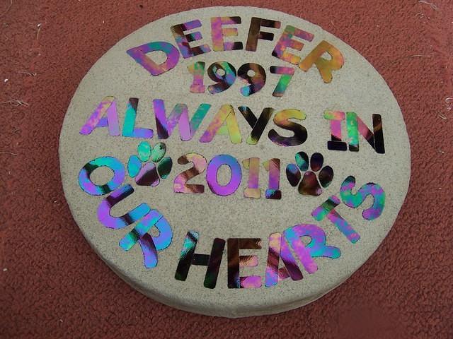 Deefer 2