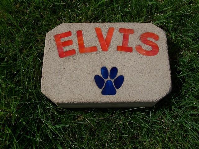 ELVIS