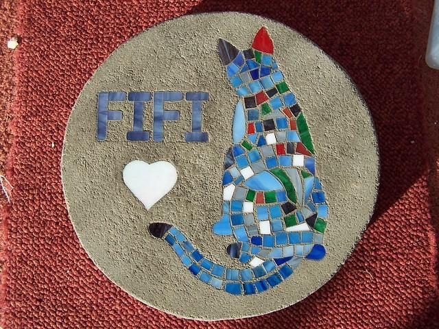 FIFI
