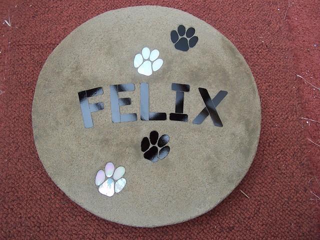 Felix PP