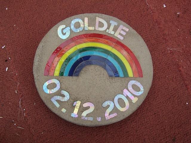 Goldie Rainbow