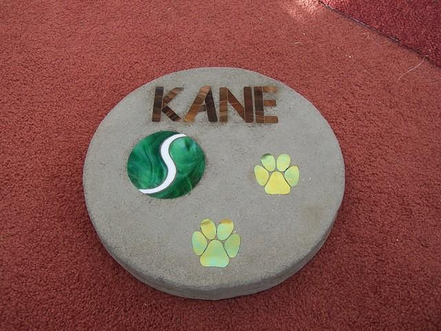 Kane