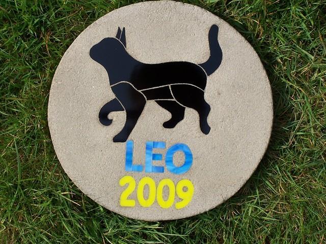 LEO 2