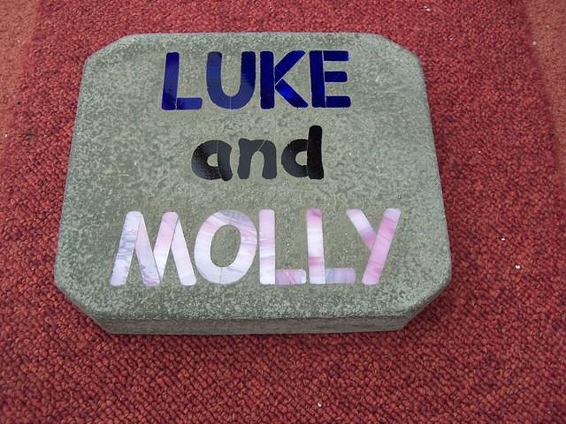 LUKE MOLLY