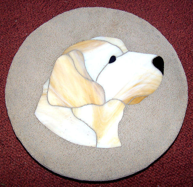 Labrador head
