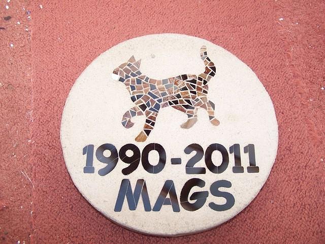 MAGS MOSAIC CAT