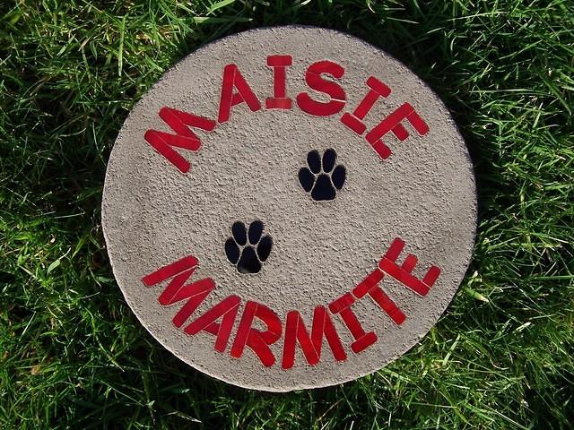 MAISIE MARMITE