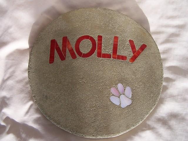 MOLLY