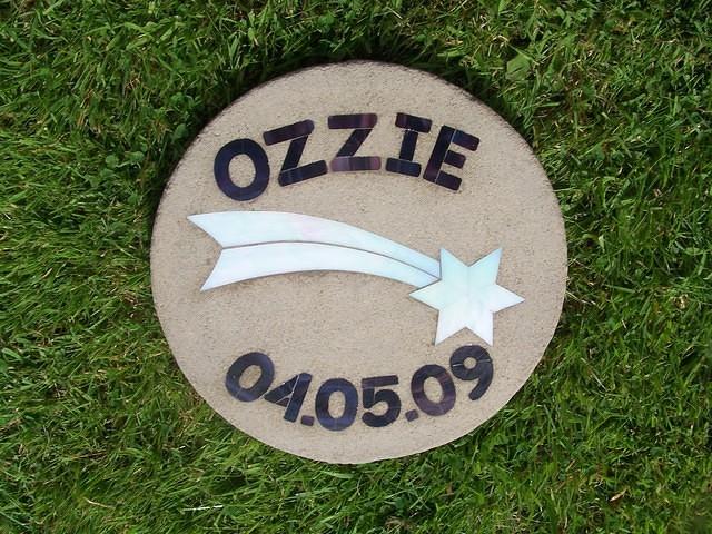 OZZIE