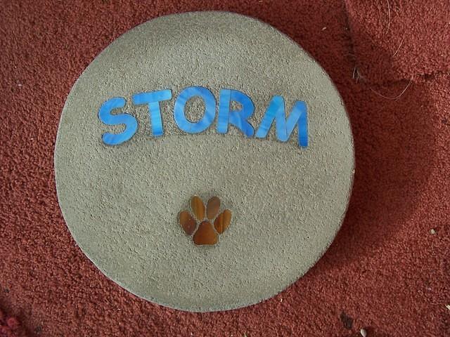 Storm