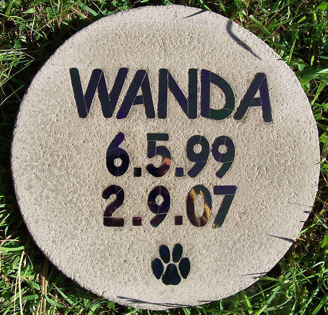 WANDA