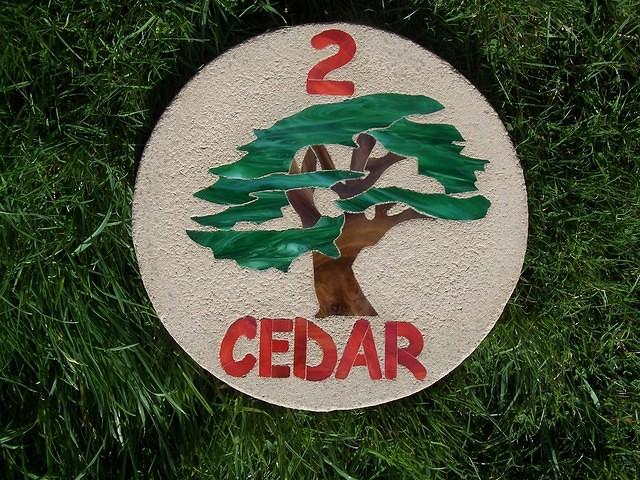 Cedar tree