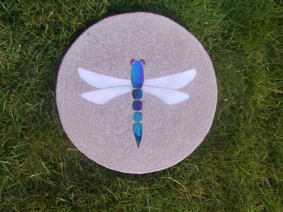 DRAGONFLY £45.00