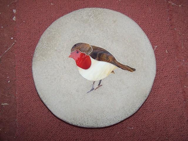 Robin £45.00