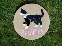 BLINDEY