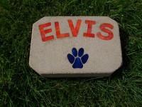 ELVIS