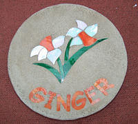 Daffodils white orange with name