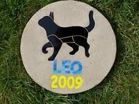 LEO 2