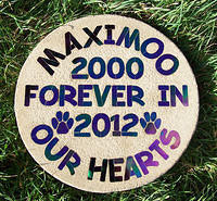 Using irridised black in darker light than next