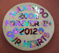 Using irridised black in bright sunlight