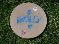 Molly 1 PP