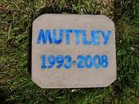 Muttley