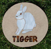 Rabbit