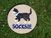 Socksie