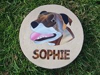 Sophie