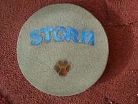 Storm
