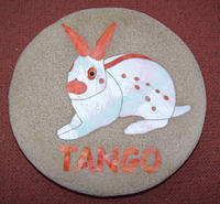 English Rabbit other colours available