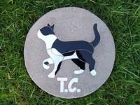TC