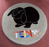 Lop eared rabbit with name