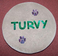 TURVY two paw prints