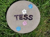 Tess PP