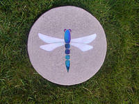 DRAGONFLY £45.00