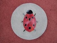 Ladybird £45.00