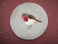 Robin £45.00