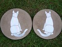 Two white cats £45.00 each