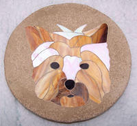 YORKSHIRE TERRIER £65.00